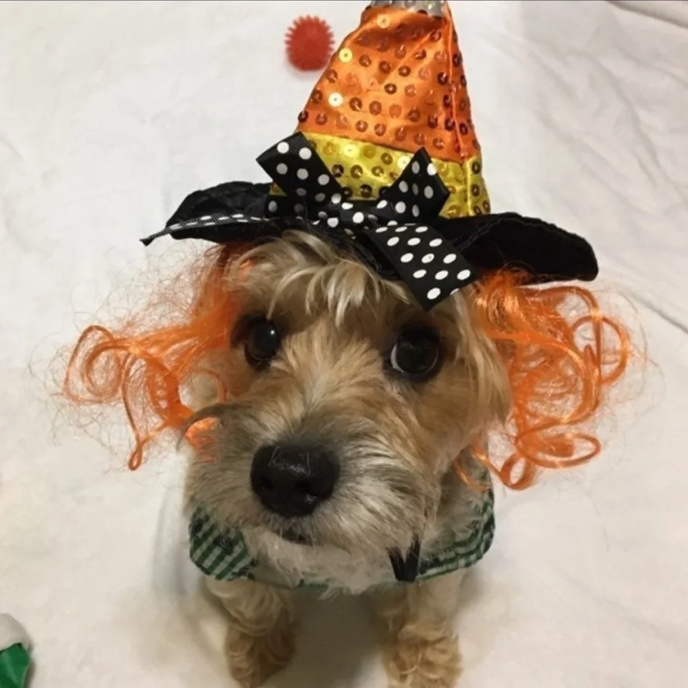 Witch Halloween Costume XS